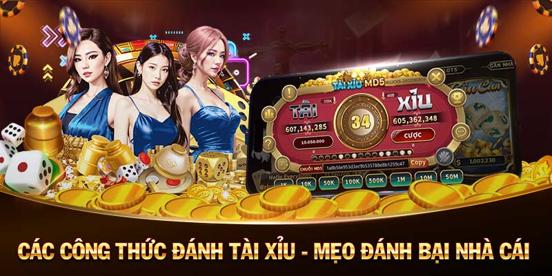 Nhatvip-Bước vào thế giới mới với code tân thủ ngay bây giờ! Nhatvip-Bước vào thế giới mới với code tân thủ ngay bây giờ!
